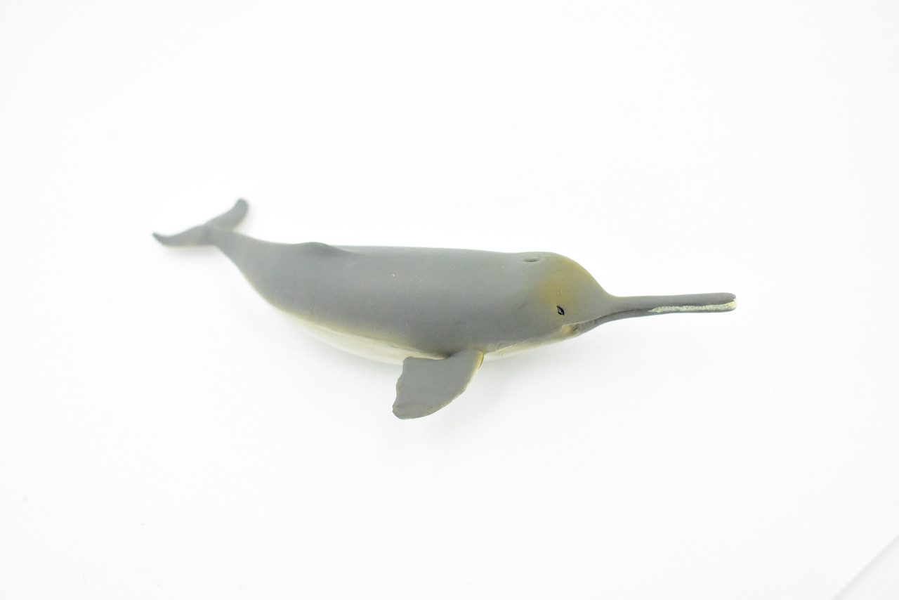 Dolphin, Ganges River Dolphin, Hand Painted, Rubber Marine Mammal, Realistic Toy Figure, Model, Replica, Kids, Educational, Gift,       5"      CH268 BB124