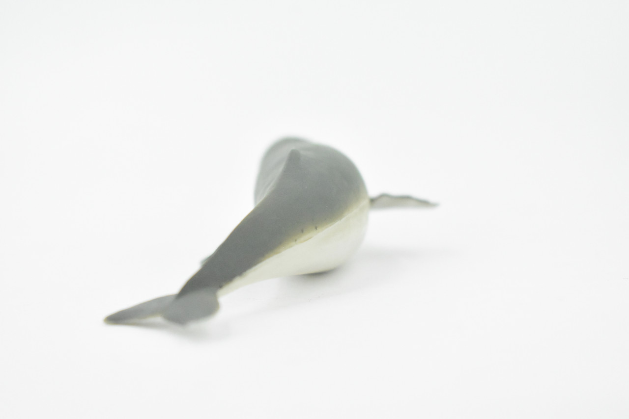 Dolphin, Ganges River Dolphin, Hand Painted, Rubber Marine Mammal, Realistic Toy Figure, Model, Replica, Kids, Educational, Gift,       5"      CH268 BB124