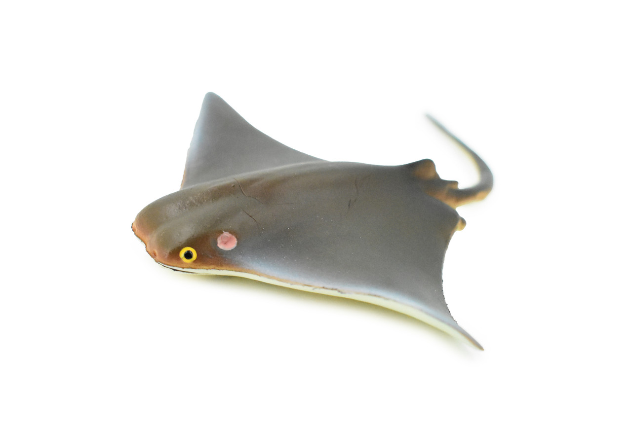 Cownose Ray, Skate, Museum Quality, Educational, Rubber Fish, Hand Painted, Realistic Toy Figure, Diorama Model, Kids, Educational,  4 Inches. 