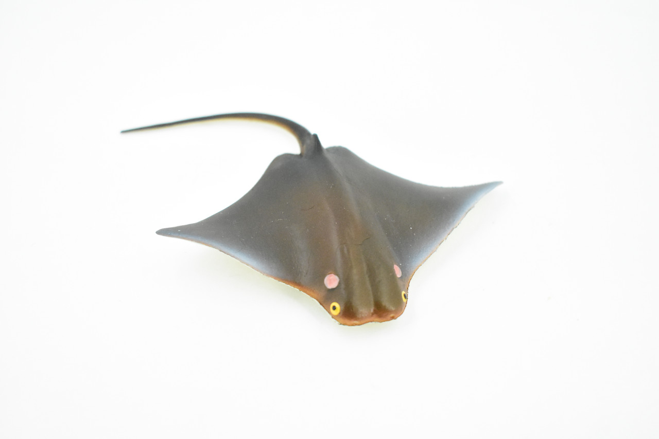 Ray, Cownose Ray, Skate, Museum Quality, Hand Painted, Rubber Fish, Realistic Toy Figure, Model, Replica, Kids, Educational, Gift,     4"       CH269 BB124