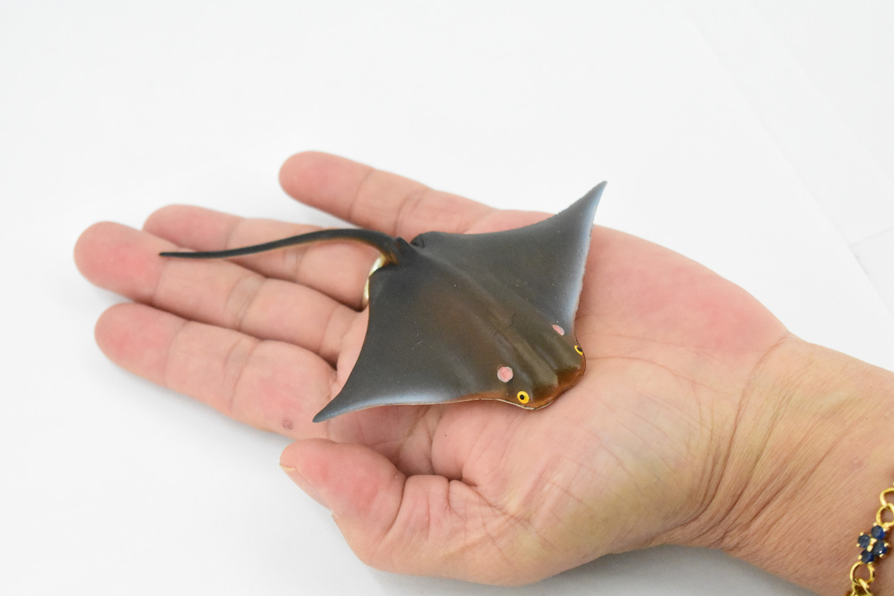 Cownose Ray, Skate, Museum Quality, Educational, Rubber Fish, Hand Painted, Realistic Toy Figure, Diorama Model, Kids, Educational,  4 Inches. 