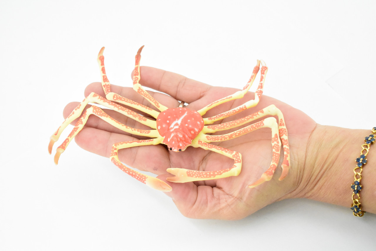 Crab, Spider Crab, Museum Quality, Hand Painted, Rubber Crustaceans, Realistic Toy Figure, Model, Replica, Kids, Educational, Gift,    7"    CH271 BB124