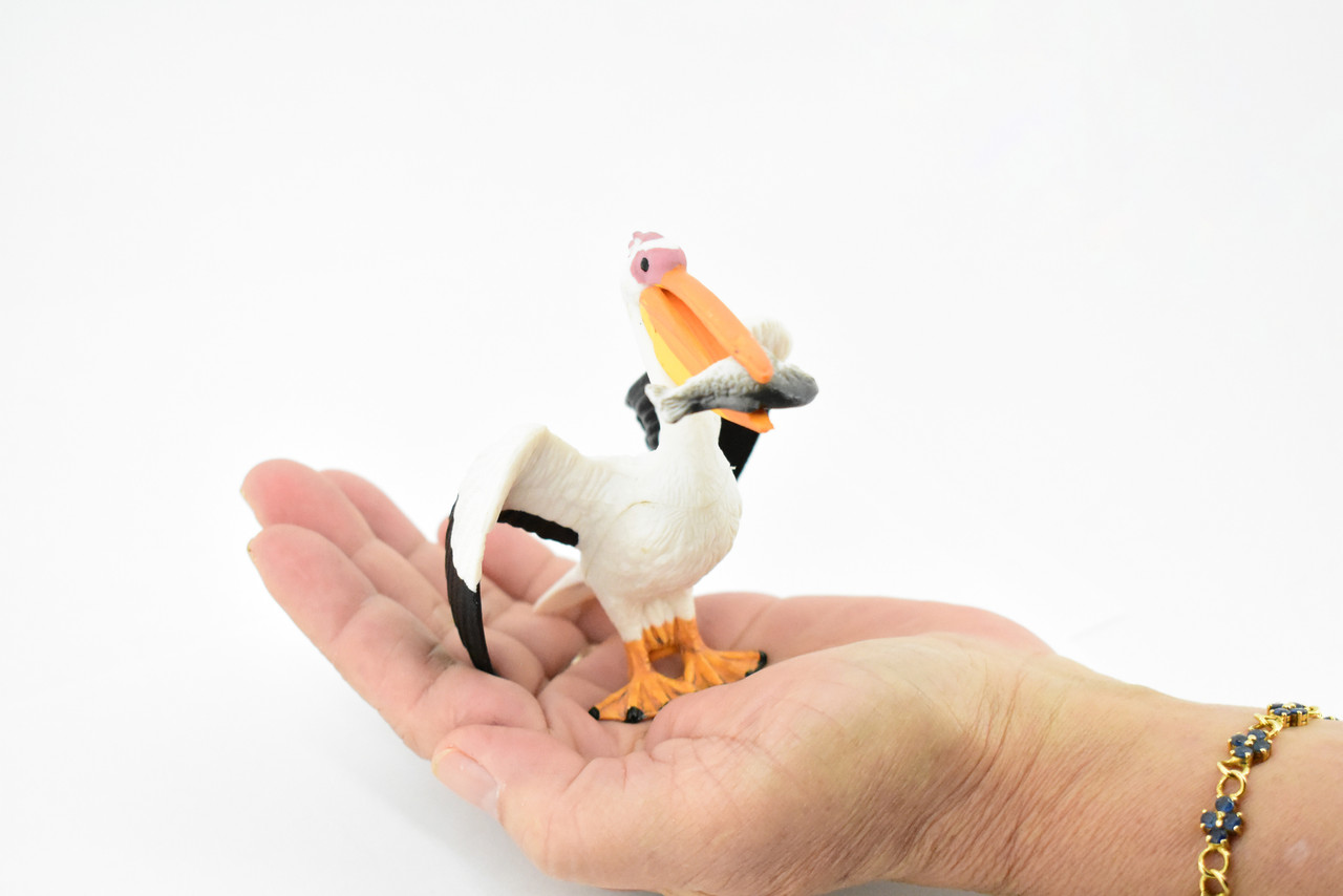 Pelican with Fish, American white pelican, Museum Quality, Educational, Hand Painted, Rubber Bird, Realistic Toy Figure, Diorama Model, Kids, 4 Inches.
