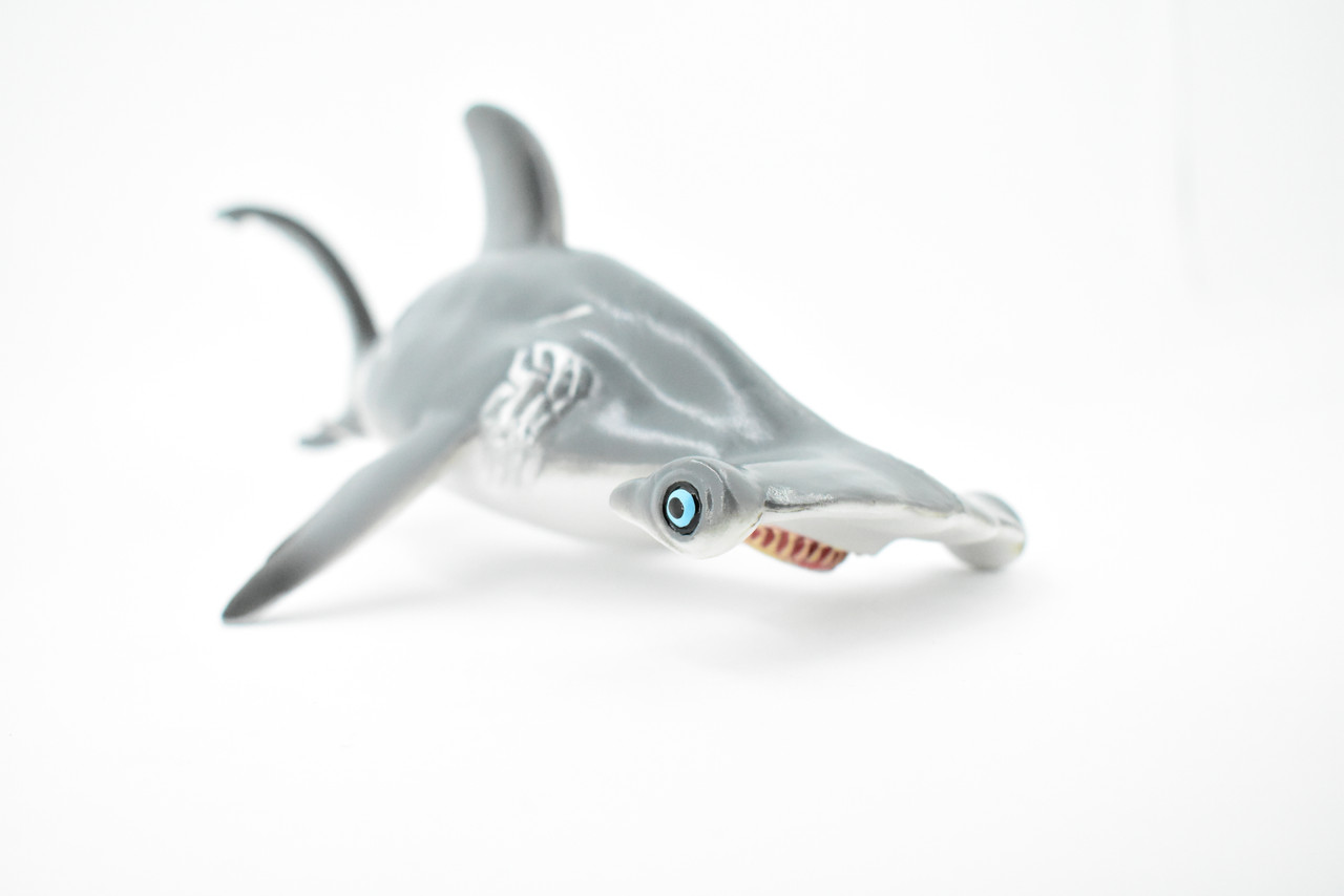 Shark, Hammerhead with Battle Scars, Museum Quality, Hand Painted, Realistic Toy Figure, Model, Replica, Kids, Educational, Gift,       12"     CH275 BB125