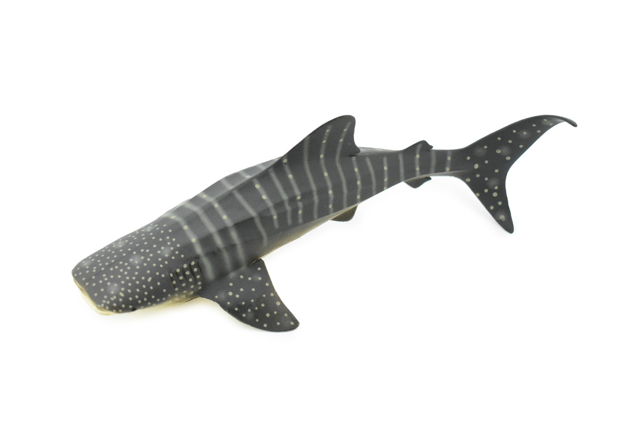 Whale Shark, Museum Quality, Hand Painted, Rubber Fish, Educational, Realistic Hand Painted Figure, Lifelike Figurine, Replica, Gift,      8"    CH276 BB125