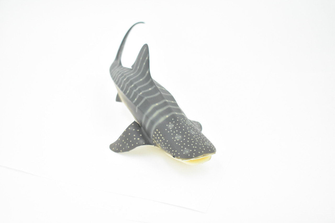 Whale Shark, Gentle Giant, Museum Quality, Educational, Hand Painted, Rubber Fish, Realistic Toy Figure, Diorama Model, Replica, Kids,  8 Inches.
