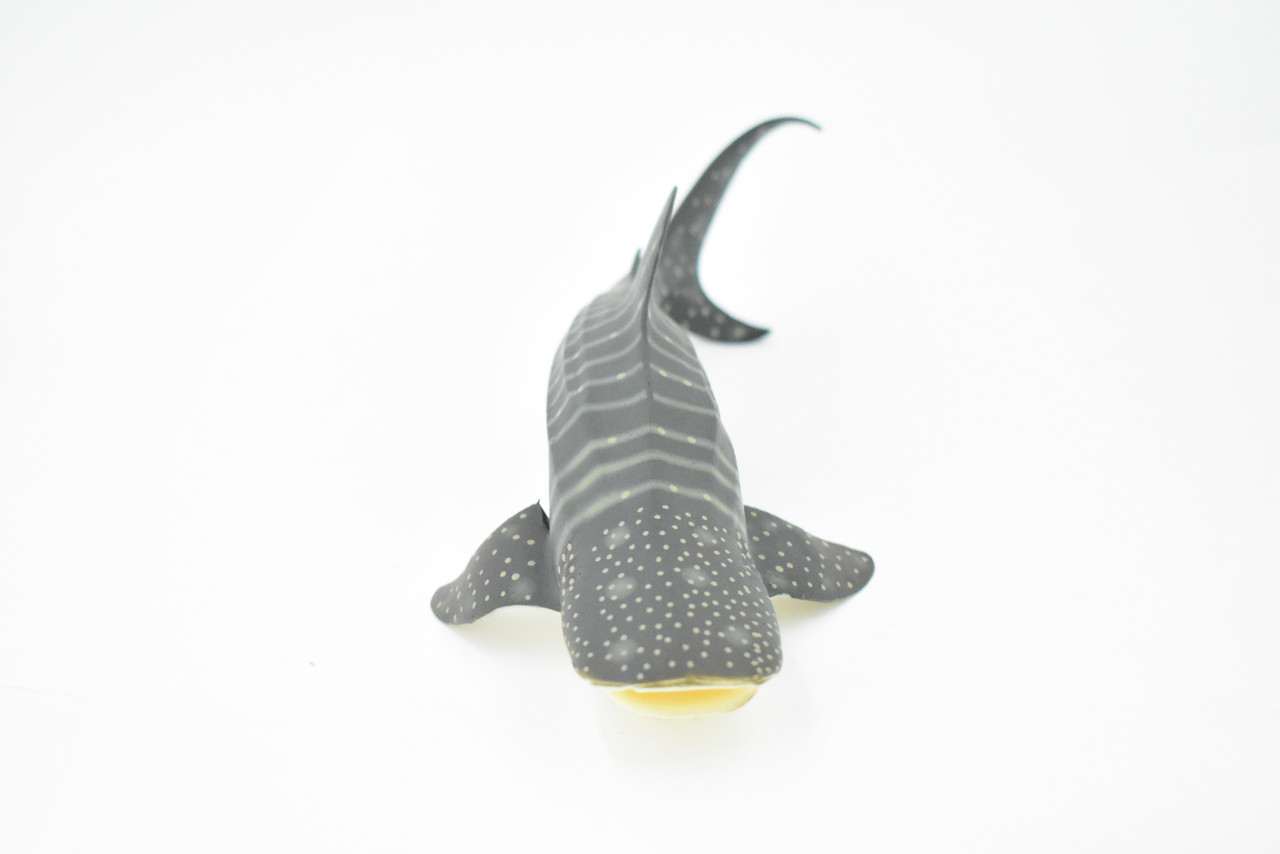 Whale Shark, Museum Quality, Hand Painted, Rubber Fish, Educational, Realistic Hand Painted Figure, Lifelike Figurine, Replica, Gift,      8"    CH276 BB125