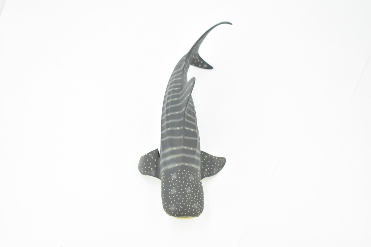 Whale Shark, Museum Quality, Hand Painted, Rubber Fish, Educational, Realistic Hand Painted Figure, Lifelike Figurine, Replica, Gift,      8"    CH276 BB125