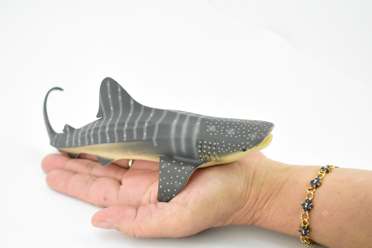 Whale Shark, Museum Quality, Hand Painted, Rubber Fish, Educational, Realistic Hand Painted Figure, Lifelike Figurine, Replica, Gift,      8"    CH276 BB125
