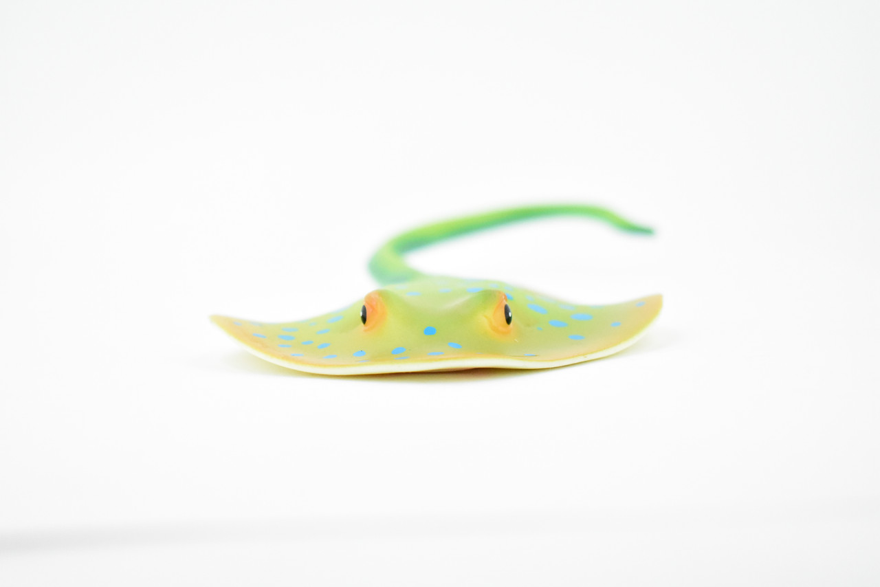 Ray, Bluespotted Ribbontail Ray, Stinray, Museum Quality, Hand Painted, Rubber Fish, Educational, Realistic, Lifelike Figurine, Replica, Gift,      7"    CH278 BB125