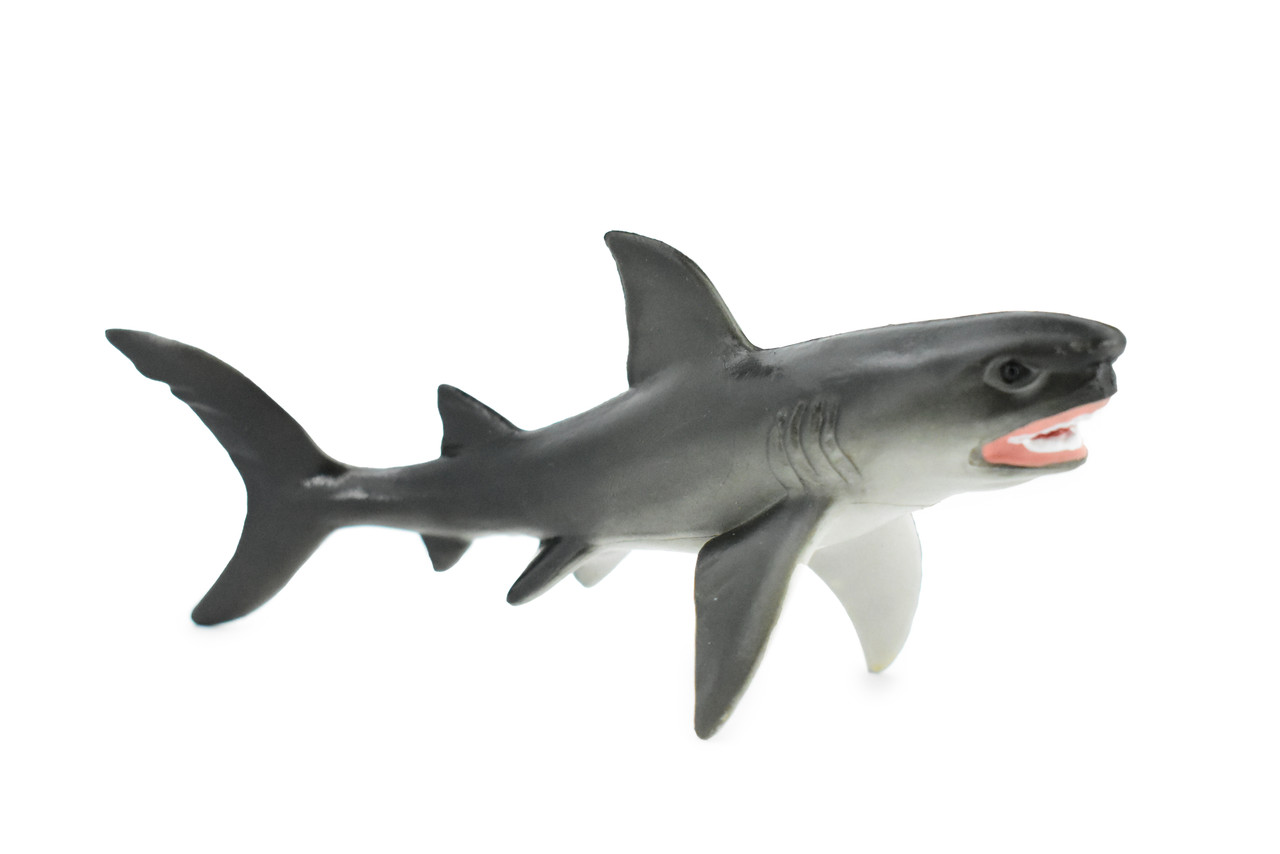 Shark, Great White Shark, Museum Quality, Rubber Fish, Hand Painted, Realistic Toy Figure, Model, Replica, Kids, Educational, Gift,    6"    CH281 BB126
