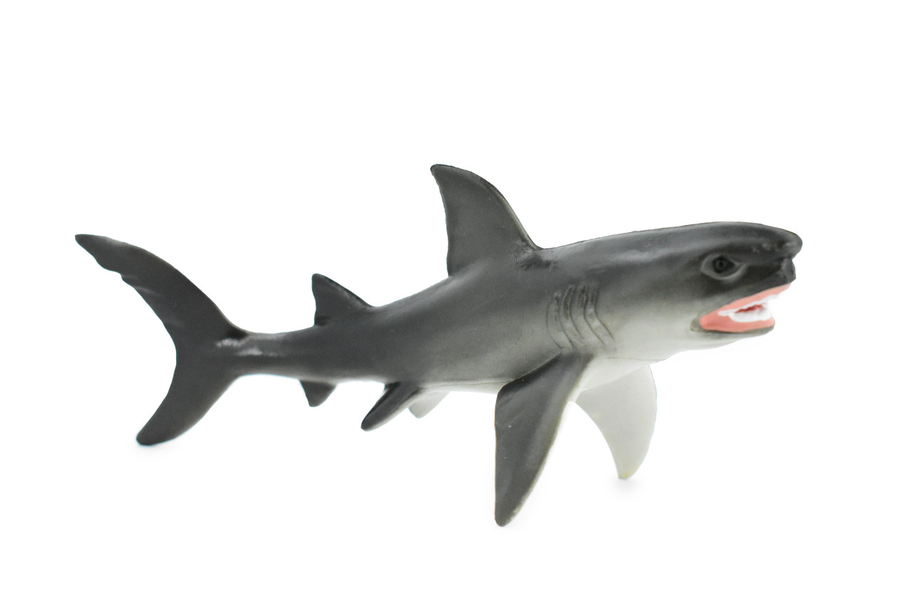 Great White, G.W. Shark, Museum Quality, Hand Painted, Educational, Rubber Fish, Diorama Model, Replica, Realistic Toy Figure, Kids,  6 Inches.