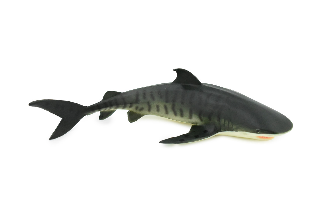 Shark, Tiger Shark, Museum Quality, Hand Painted, Rubber Fish, Realistic Toy Figure, Kids, Educational, Gift,         6"      CH282 BB126
