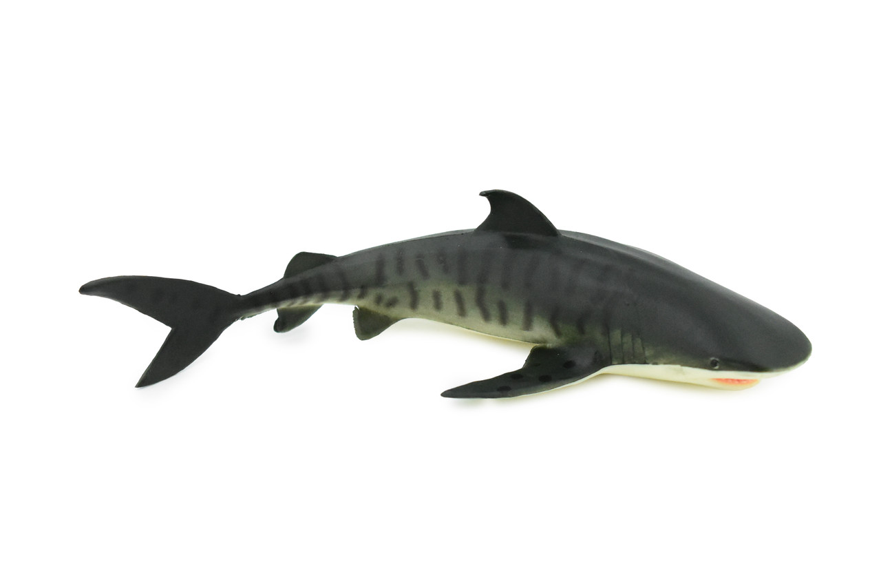 Tiger Shark, Requiem shark family, Museum Quality, Educational, Hand Painted, Rubber Fish, Realistic Toy Figure, Diorama Model, Replica, Kids, 6 Inches. 