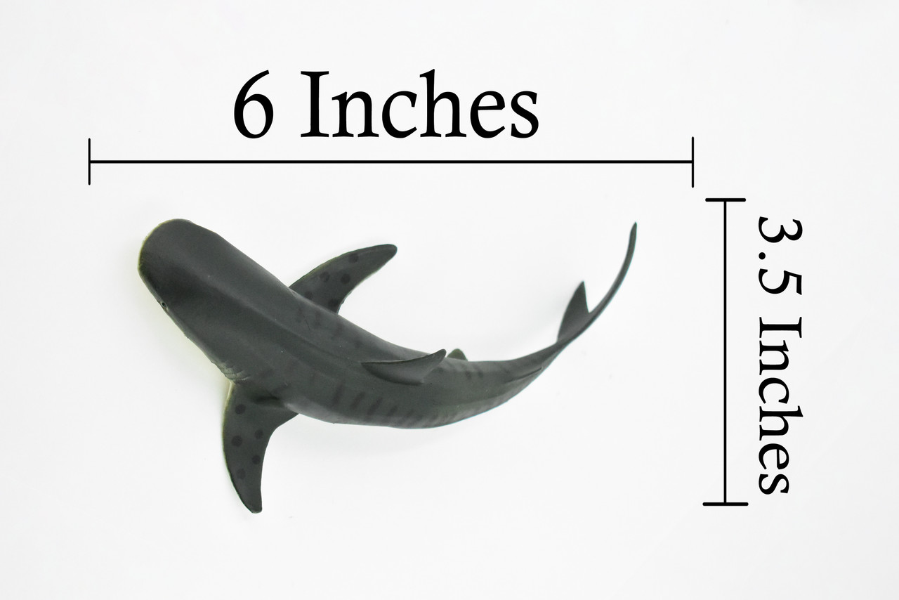 Tiger Shark, Requiem shark family, Museum Quality, Educational, Hand Painted, Rubber Fish, Realistic Toy Figure, Diorama Model, Replica, Kids, 6 Inches. 