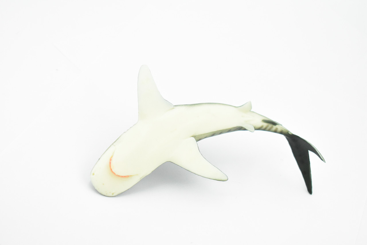 Tiger Shark, Requiem shark family, Museum Quality, Educational, Hand Painted, Rubber Fish, Realistic Toy Figure, Diorama Model, Replica, Kids, 6 Inches. 