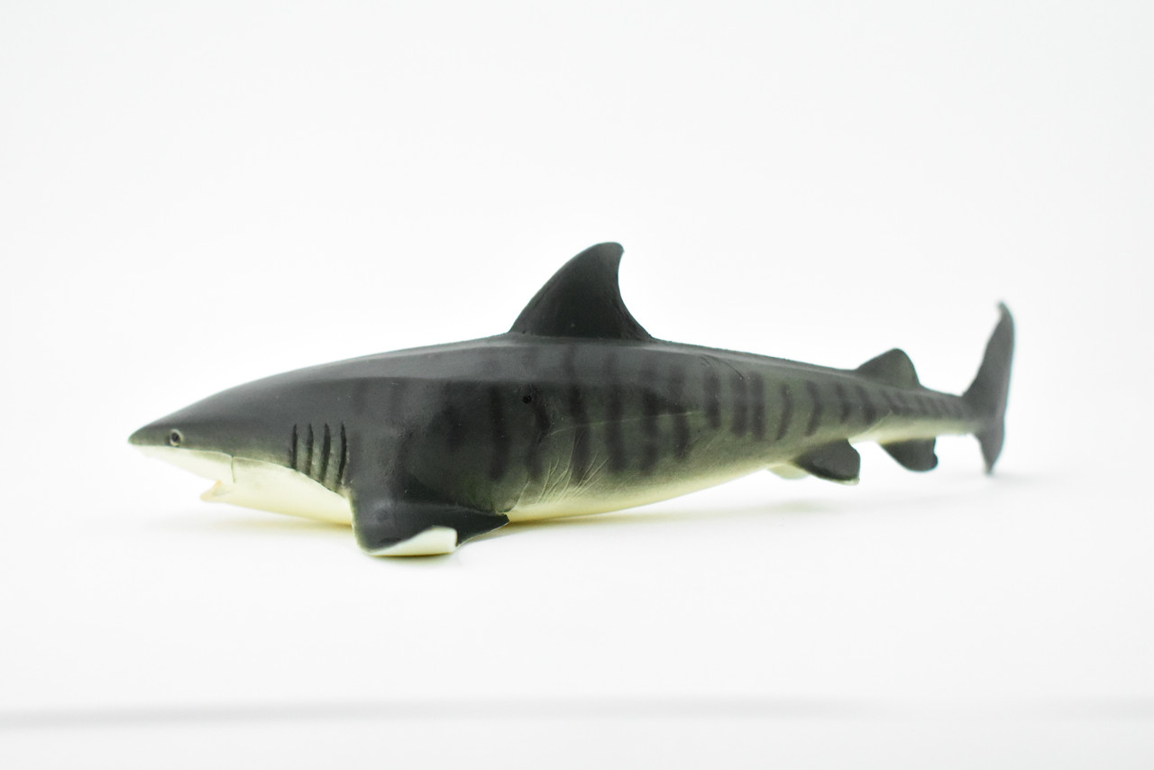 Tiger Shark, Requiem shark family, Museum Quality, Educational, Hand Painted, Rubber Fish, Realistic Toy Figure, Diorama Model, Replica, Kids, 6 Inches. 