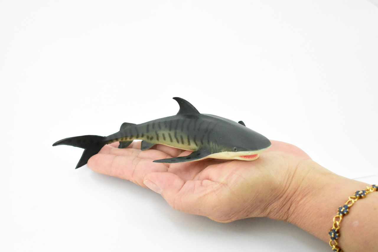 Shark, Tiger Shark, Museum Quality, Hand Painted, Rubber Fish, Realistic Toy Figure, Kids, Educational, Gift,         6"      CH282 BB126