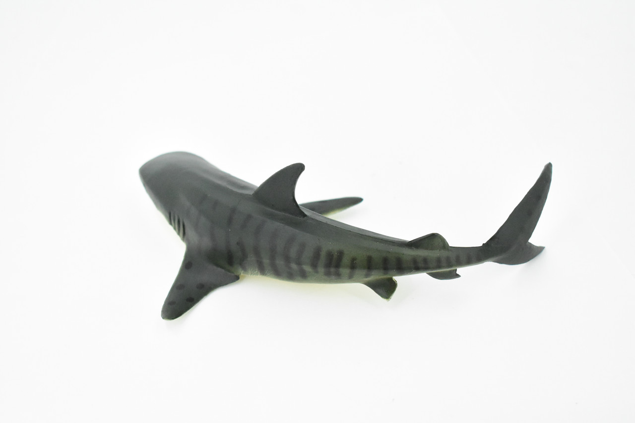 Shark, Tiger Shark, Museum Quality, Hand Painted, Rubber Fish, Realistic Toy Figure, Kids, Educational, Gift,         6"      CH282 BB126