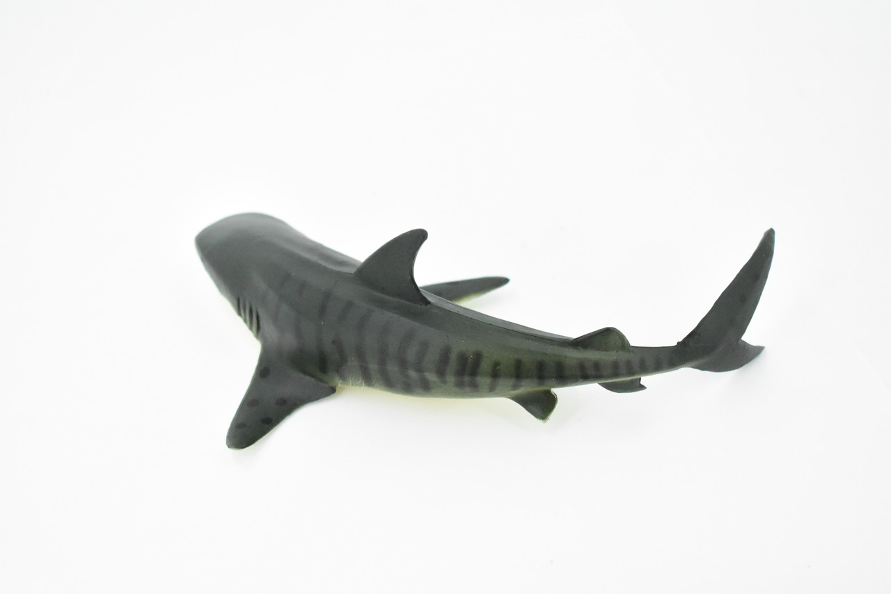 Tiger Shark, Requiem shark family, Museum Quality, Educational, Hand Painted, Rubber Fish, Realistic Toy Figure, Diorama Model, Replica, Kids, 6 Inches. 