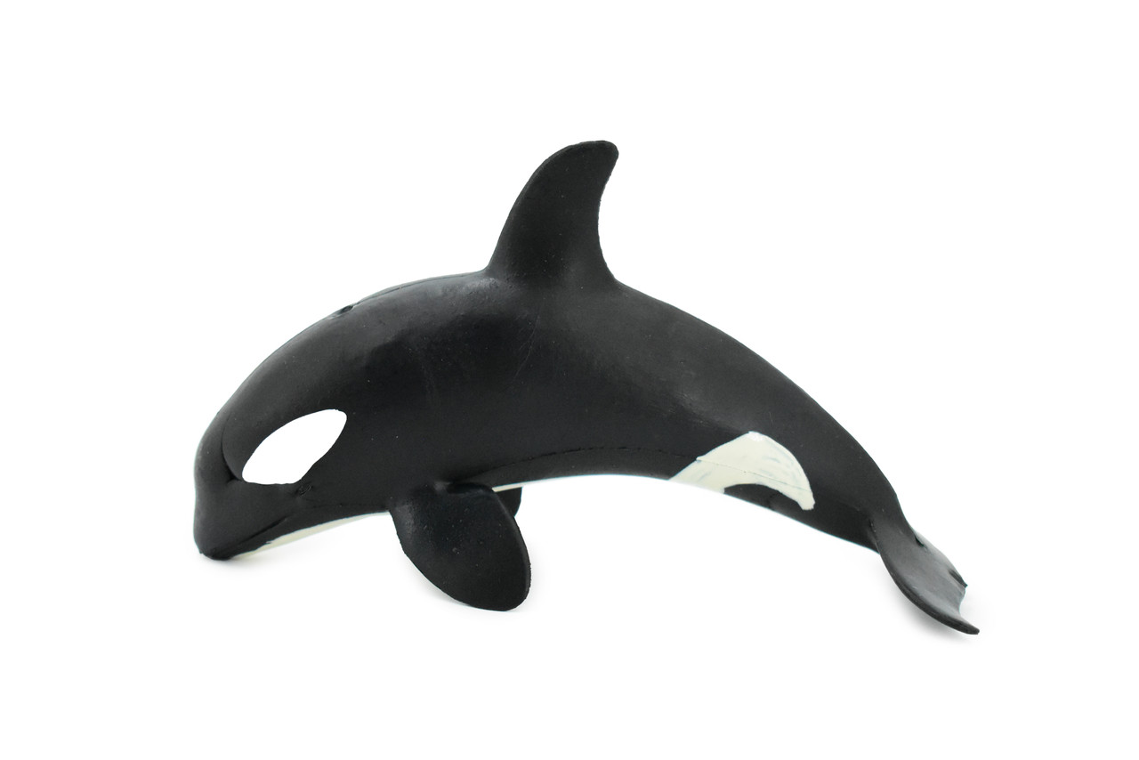 Orca, Killer Whale, Marine Mammal, Museum Quality, Hand Painted, Educational, Rubber Animal, Realistic, Diorama Model, Toy Figure, Kids,  5 Inches. 