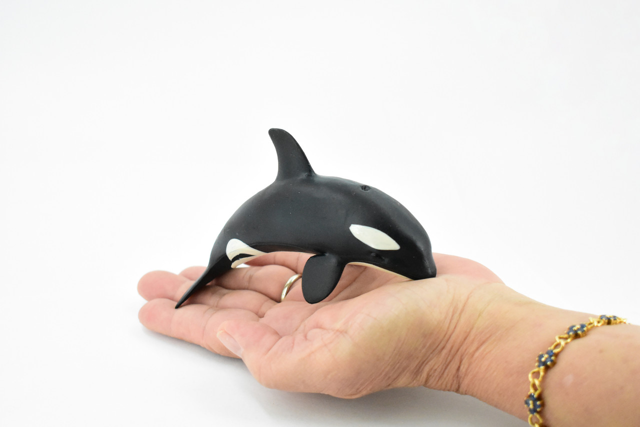 Whale, Orca, Killer Whale, Hand Painted, Marine Mammal, Rubber Animal, Realistic Toy Figure, Model, Replica, Kids, Educational, Gift,      5"    CH284 BB126