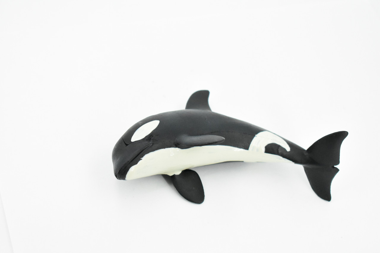 Whale, Orca, Killer Whale, Hand Painted, Marine Mammal, Rubber Animal, Realistic Toy Figure, Model, Replica, Kids, Educational, Gift,      5"    CH284 BB126