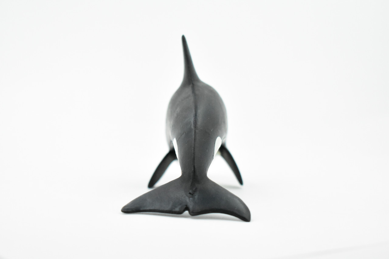 Whale, Orca, Killer Whale, Hand Painted, Marine Mammal, Rubber Animal, Realistic Toy Figure, Model, Replica, Kids, Educational, Gift,      5"    CH284 BB126