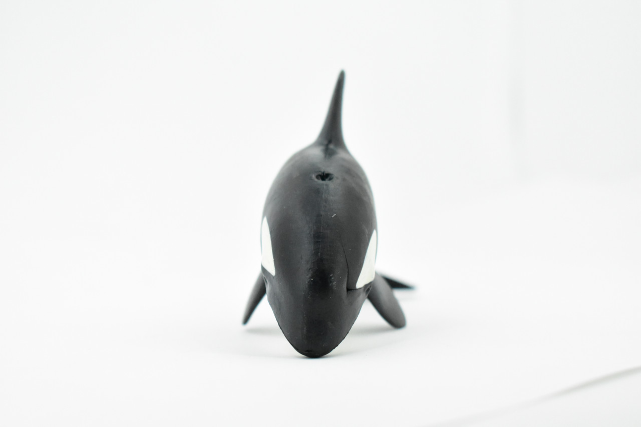 Whale, Orca, Killer Whale, Hand Painted, Marine Mammal, Rubber Animal, Realistic Toy Figure, Model, Replica, Kids, Educational, Gift,      5"    CH284 BB126