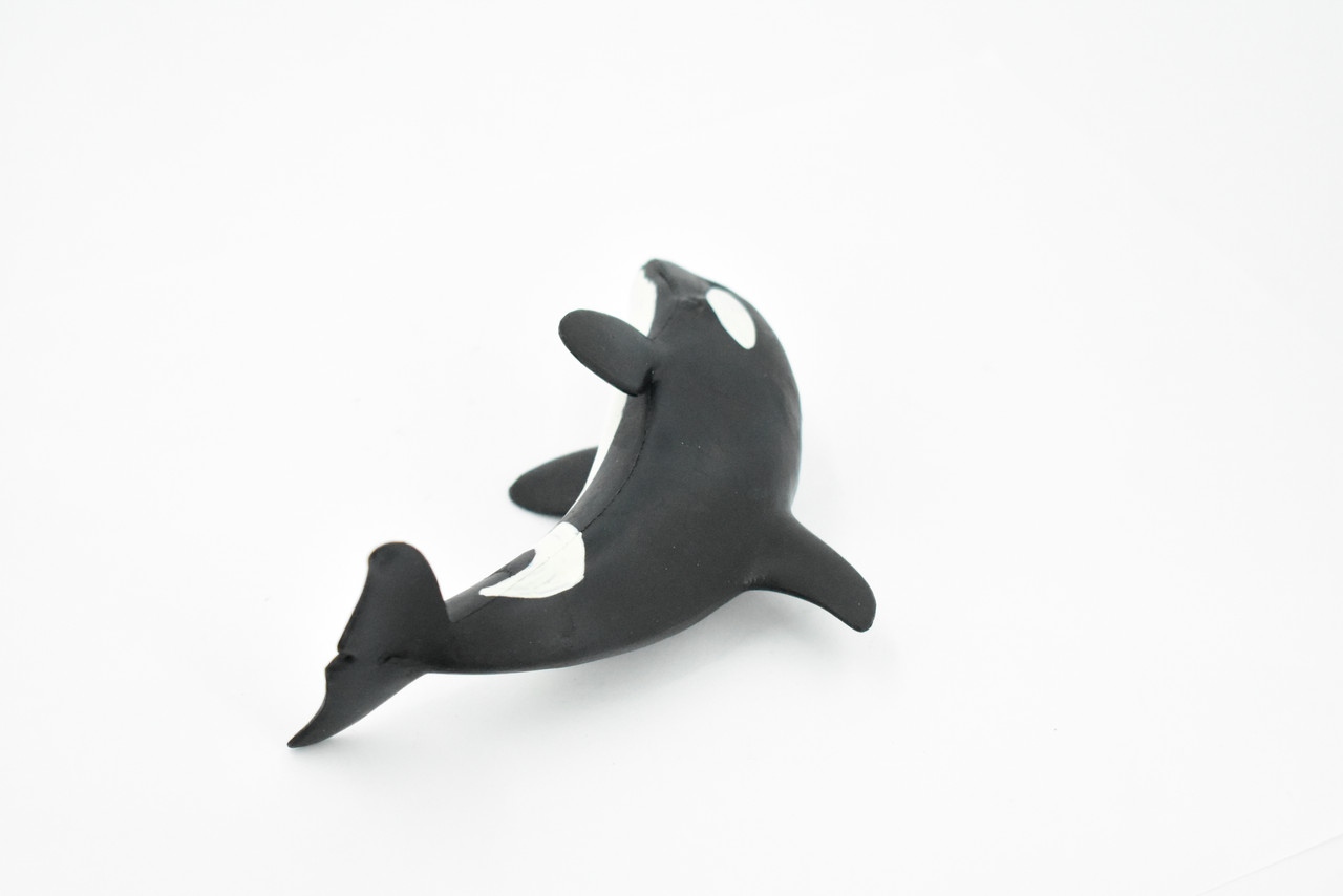 Whale, Orca, Killer Whale, Hand Painted, Marine Mammal, Rubber Animal, Realistic Toy Figure, Model, Replica, Kids, Educational, Gift,      5"    CH284 BB126