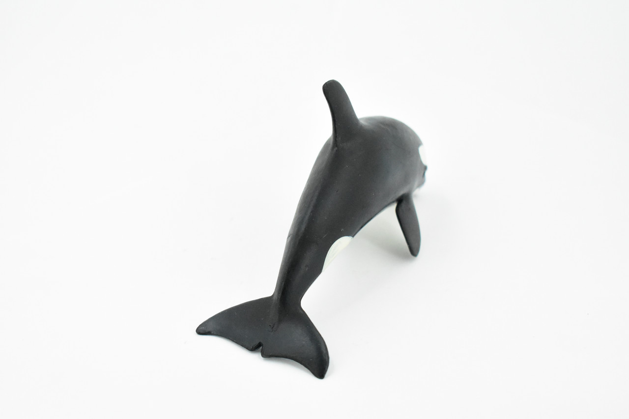 Whale, Orca, Killer Whale, Hand Painted, Marine Mammal, Rubber Animal, Realistic Toy Figure, Model, Replica, Kids, Educational, Gift,      5"    CH284 BB126