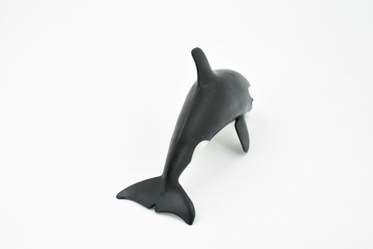 Orca, Killer Whale, Marine Mammal, Museum Quality, Hand Painted, Educational, Rubber Animal, Realistic, Diorama Model, Toy Figure, Kids,  5 Inches. 