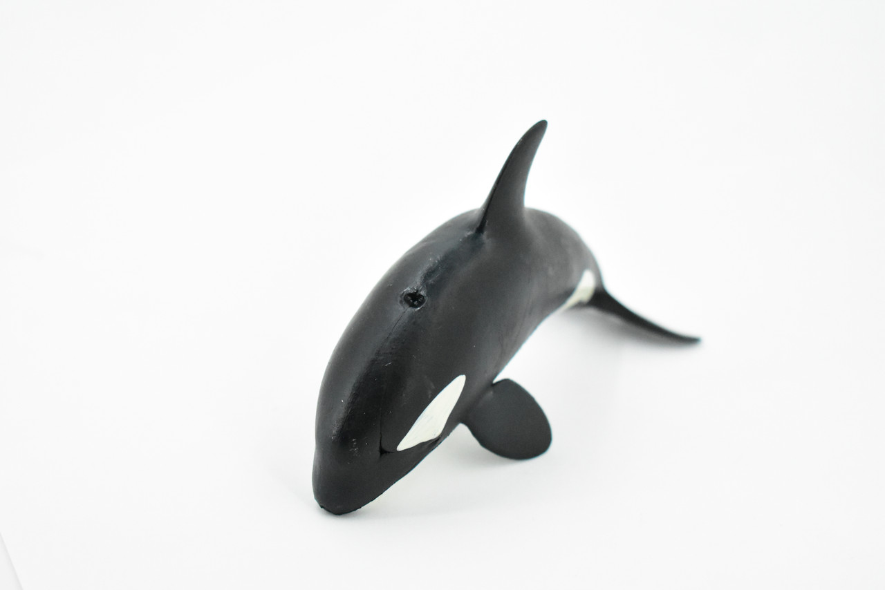 Orca, Killer Whale, Marine Mammal, Museum Quality, Hand Painted, Educational, Rubber Animal, Realistic, Diorama Model, Toy Figure, Kids,  5 Inches. 