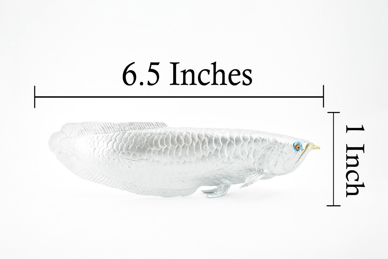 Arowana, Silver Dragon Fish, Asian Arowana, Rubber Fish, Hand Painted, Realistic Toy Figure, Model, Replica, Kids, Educational, Gift,     6 1/2""    CH285 BB126