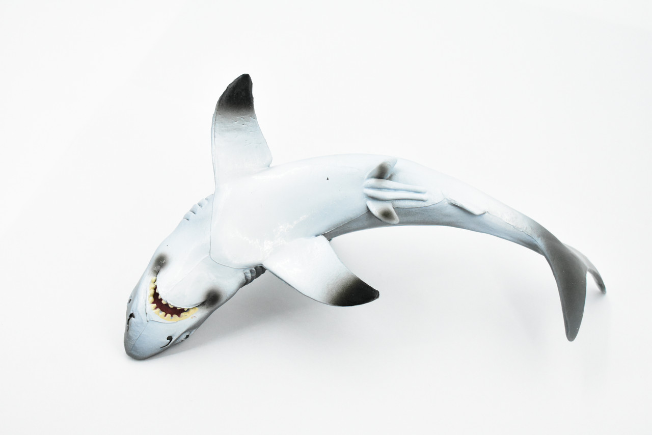 Shark, Great White Shark, Museum Quality, Hand Painted, Rubber Fish, Realistic Toy Figure, Model, Replica, Kids, Educational, Gift,     8"     CH287 BB127