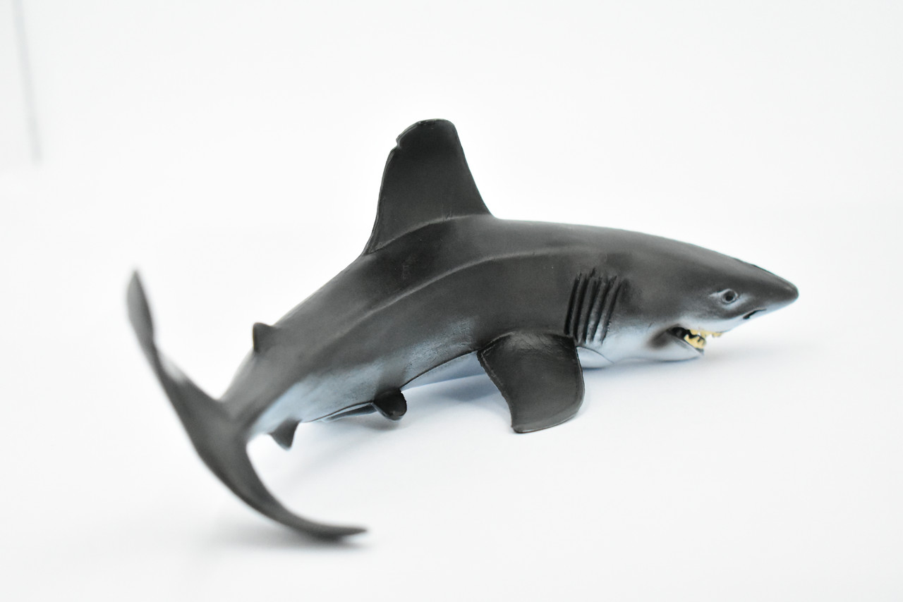 Great White, G.W. Shark, Museum Quality, Hand Painted, Educational, Rubber Fish, Diorama Model, Replica, Realistic Toy Figure, Kids,  8 Inches. 