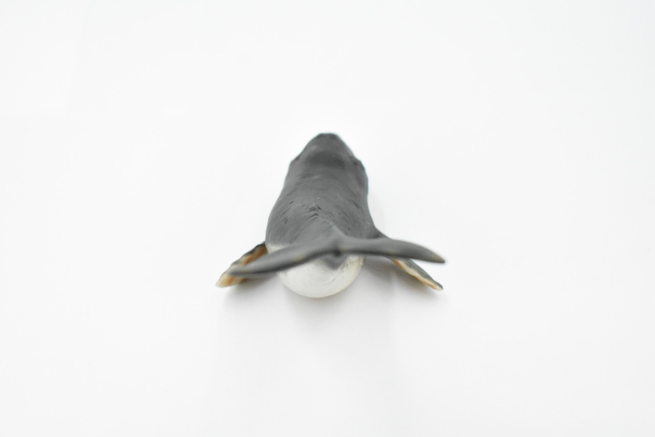 Whale, Grey Whale, Museum Quality, Hand Painted, Rubber Marine Mammal, Realistic Toy Figure, Model, Replica, Kids, Educational, Gift,     7"     CH288 BB127