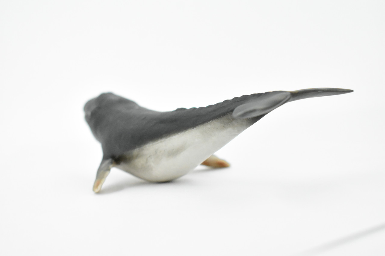 Grey Whale, Marine Mammal, Museum Quality, Hand Painted, Educational, Rubber Animal, Realistic, Diorama Model, Toy Figure, Kids, 7 Inches.  