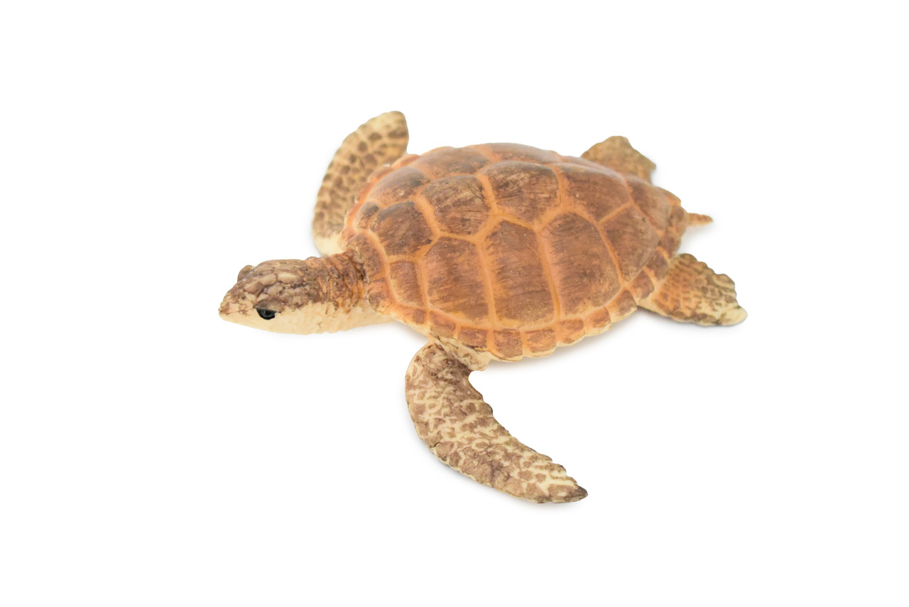 Turtle, Loggerhead Sea Turtle, Museum Quality, Hand Painted, Rubber Reptile, Realistic Toy Figure, Model, Replica, Kids, Educational, Gift,     3 1/2"     CH291 BB128 