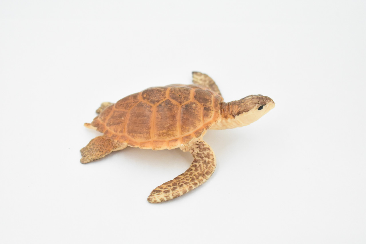 Turtle, Loggerhead Sea Turtle, Museum Quality, Hand Painted, Rubber Reptile, Realistic Toy Figure, Model, Replica, Kids, Educational, Gift,     3 1/2"     CH291 BB128 