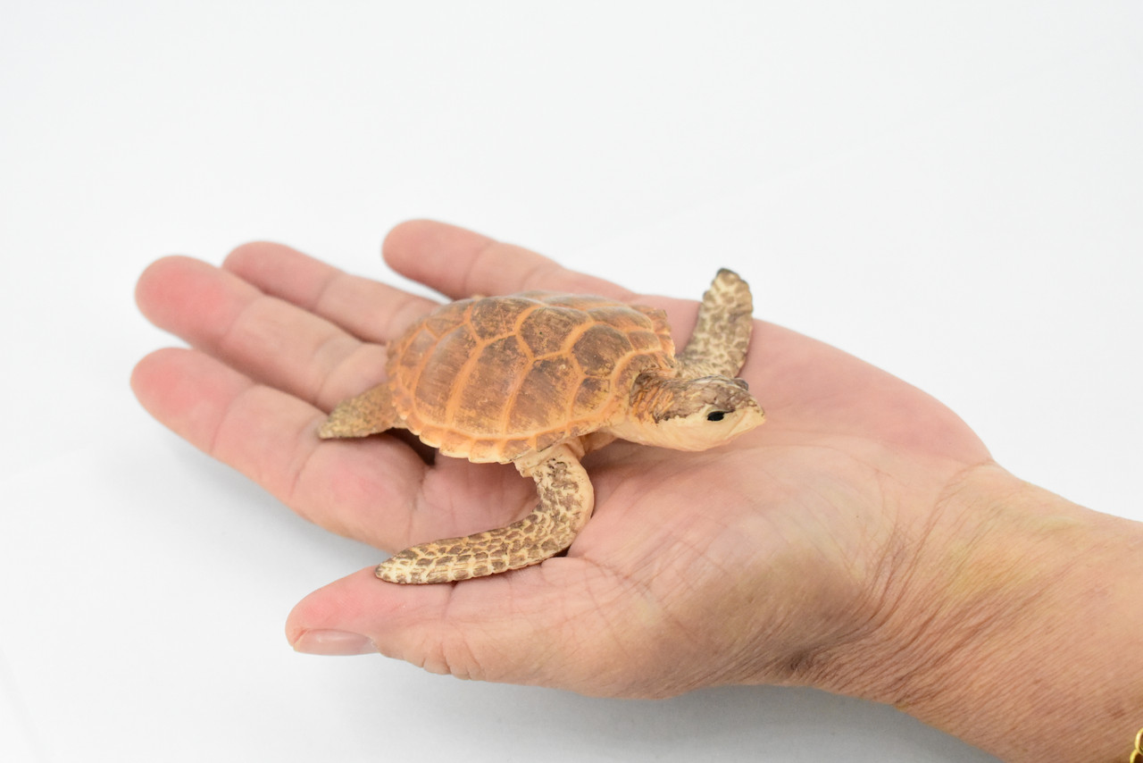 Turtle, Loggerhead Sea Turtle, Museum Quality, Hand Painted, Rubber Reptile, Realistic Toy Figure, Model, Replica, Kids, Educational, Gift,     3 1/2"     CH291 BB128 