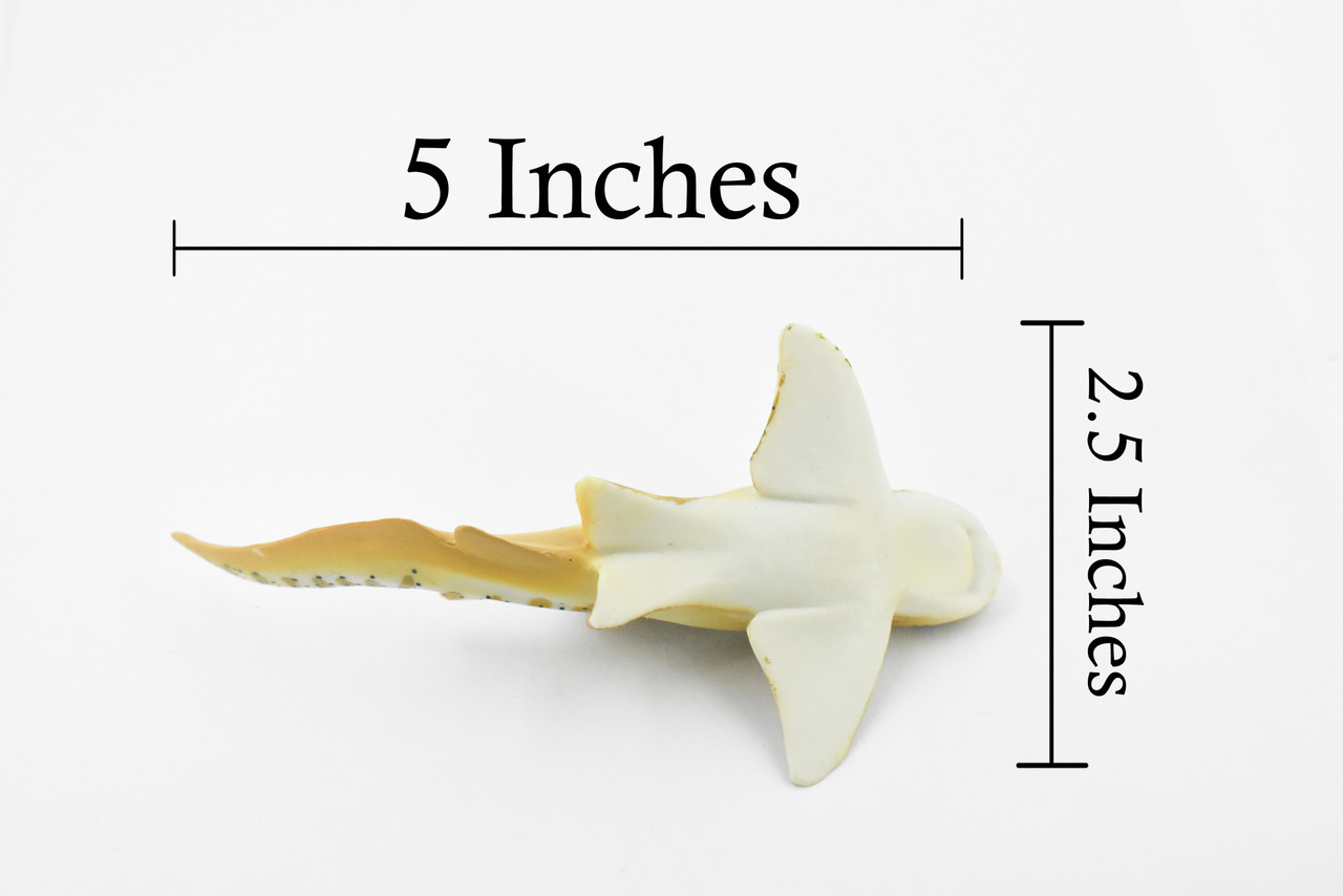 Zebra Shark, Carpet shark, Museum Quality, Educational, Hand Painted, Rubber Fish, Realistic Toy Figure, Diorama Model, Replica, Kids, 3 1/2 Inches. 
