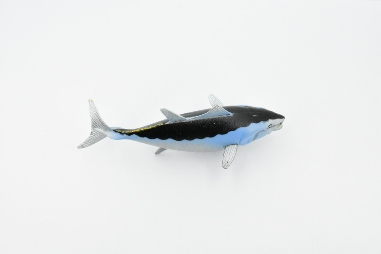 Fish, Bluefin Tuna, Museum Quality, Hand Painted, Rubber Fish, Realistic Toy Figure, Model, Replica, Kids, Educational, Gift,    4 1/2"     CH294 BB128