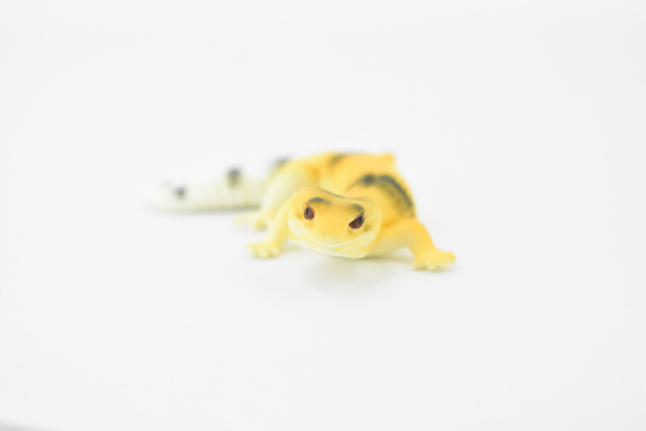 Gecko, Leopard Gecko Lizard, Museum Quality, Hand Painted, Rubber Reptile, Realistic Toy Figure, Model, Replica, Kids, Educational, Gift,      3"     CH296 BB128