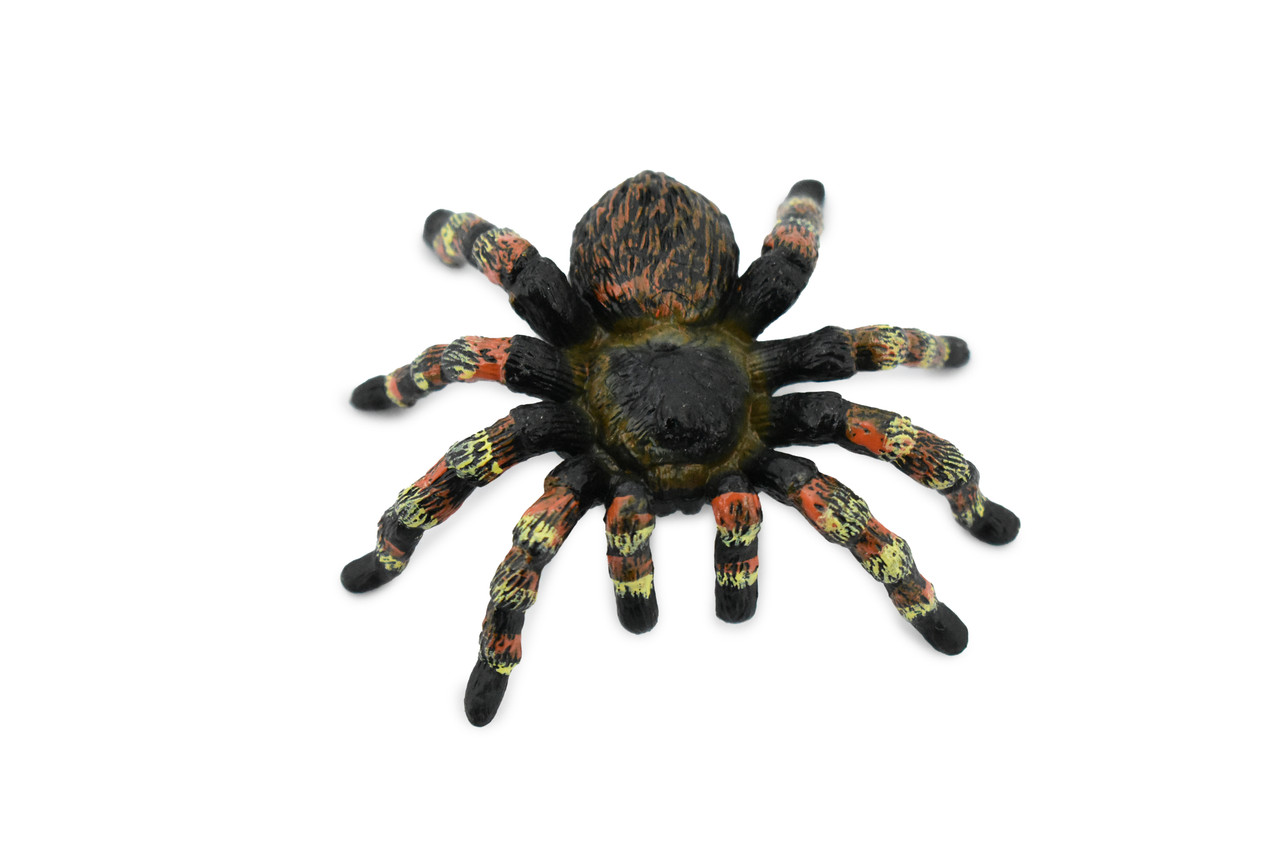 Spider, Goliath Bird Eating Spider, Hand Painted, Rubber Insect, Realistic Toy Figure, Model, Replica, Kids, Educational, Gift,      3"     CH297 BB128