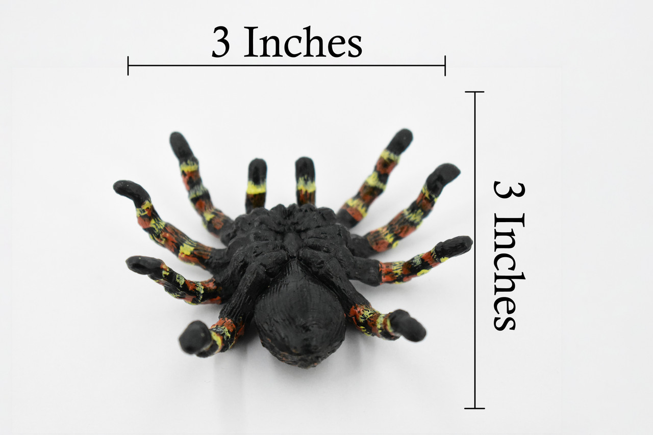 Spider, Goliath Bird Eating Spider, Hand Painted, Rubber Insect, Realistic Toy Figure, Model, Replica, Kids, Educational, Gift,      3"     CH297 BB128