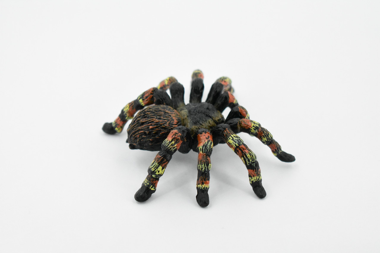 Spider, Goliath Bird Eating Spider, Hand Painted, Rubber Insect, Realistic Toy Figure, Model, Replica, Kids, Educational, Gift,      3"     CH297 BB128