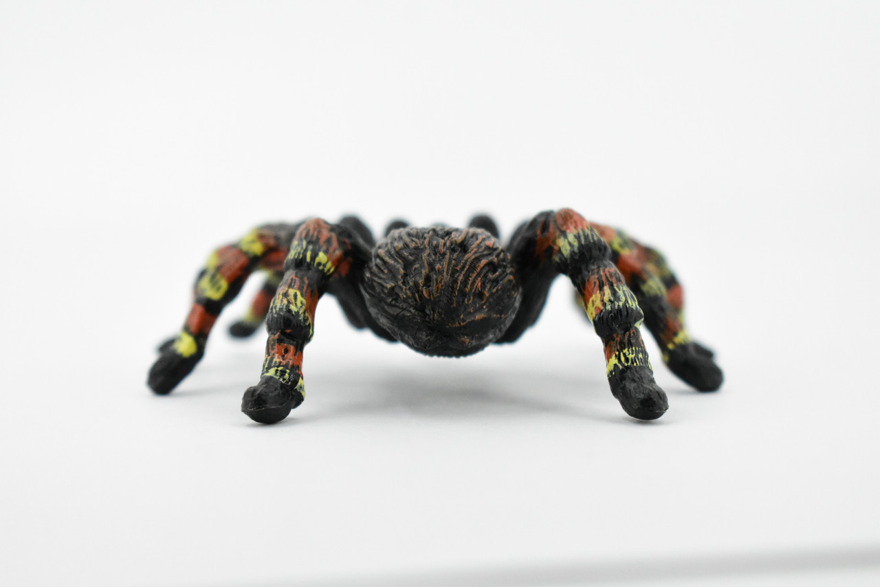 Spider, Goliath Bird Eating Spider, Hand Painted, Rubber Insect, Realistic Toy Figure, Model, Replica, Kids, Educational, Gift,      3"     CH297 BB128