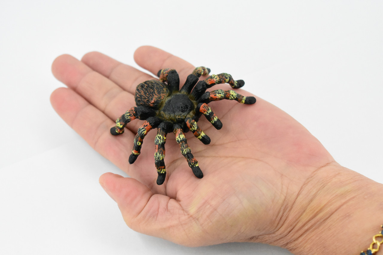 Spider, Goliath Bird Eating Spider, Hand Painted, Rubber Insect, Realistic Toy Figure, Model, Replica, Kids, Educational, Gift,      3"     CH297 BB128