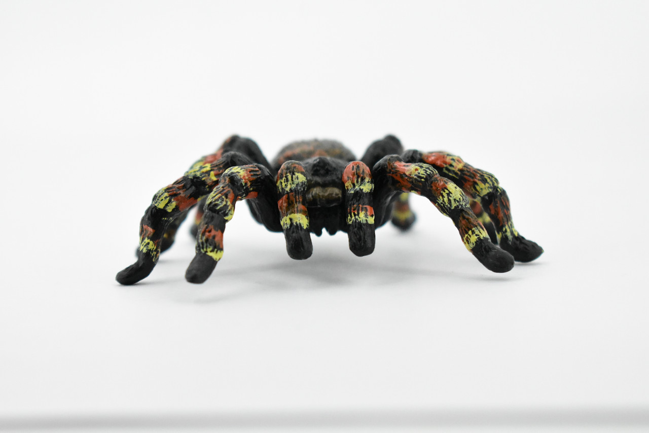 Spider, Goliath Bird Eating Spider, Hand Painted, Rubber Insect, Realistic Toy Figure, Model, Replica, Kids, Educational, Gift,      3"     CH297 BB128